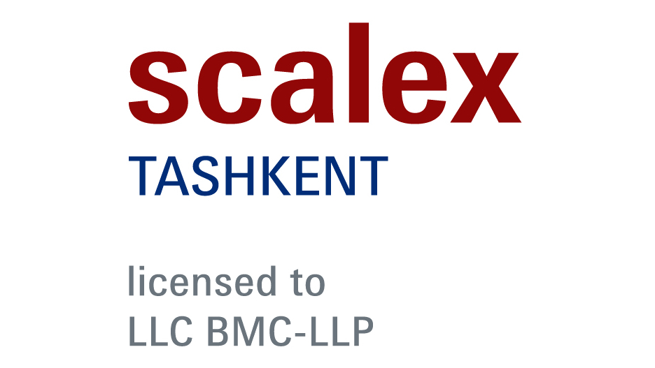 Logo Scalex